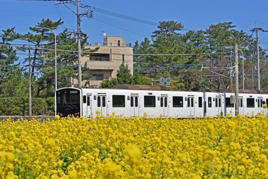 糸島エリアの街並み