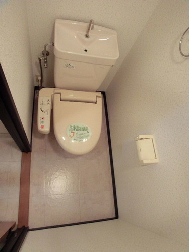 スクレーパー東 / 605号室 トイレ