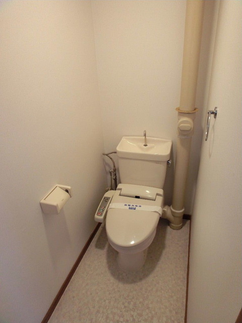リバーサイド志免 / 401号室 トイレ
