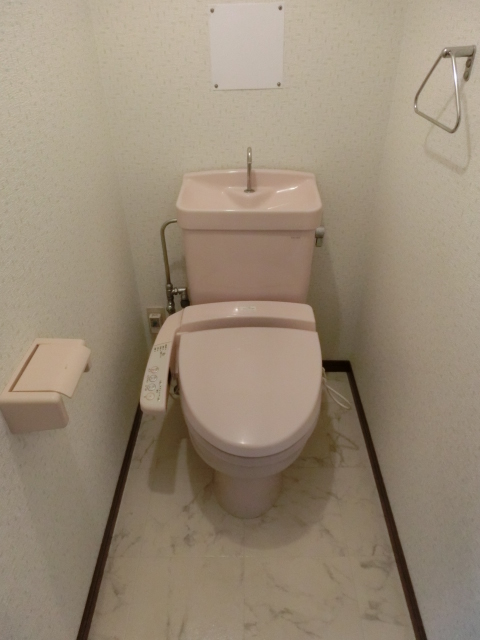 サンライズ天拝 / 201号室 トイレ