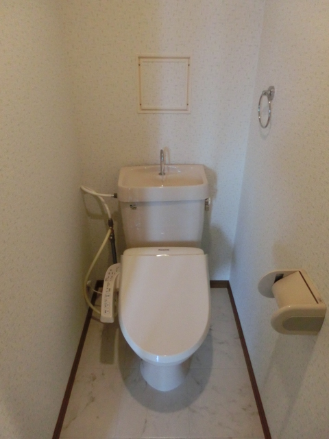 シャトレ天拝 / 803号室 トイレ