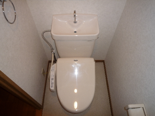 レジデンス俗明院 / 402号室 トイレ