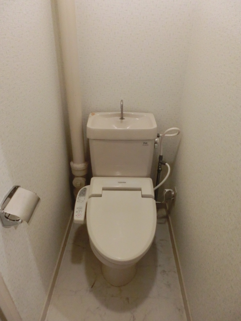 野田ビル / 105号室 トイレ