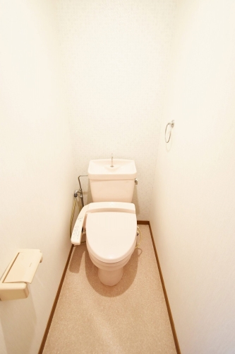 フォーレスト壱番館 / 403号室 トイレ