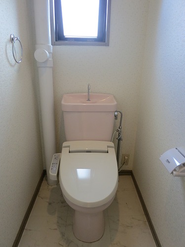 ドミール水城 / 301号室 トイレ