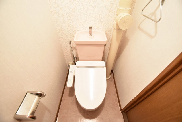 RESIAS CHIKUSHINO BLDG. / 105号室 トイレ