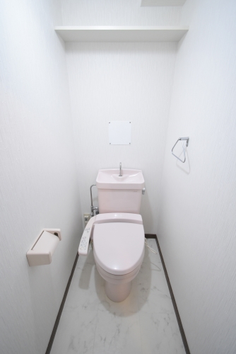サンライズ天拝 / 205号室 トイレ