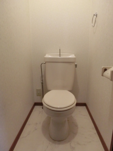 ティアラ渡辺 / 102号室 トイレ