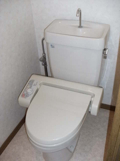 アネックスけやき通り / 501号室 トイレ