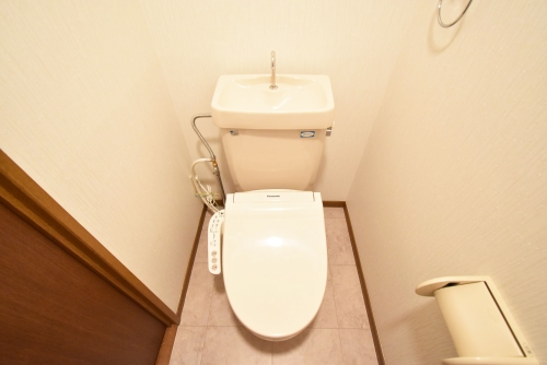 グランドソフィア２０ / 101号室 トイレ