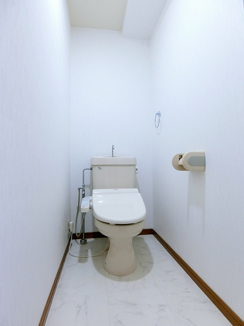 シャトレ天拝 / 801号室 トイレ