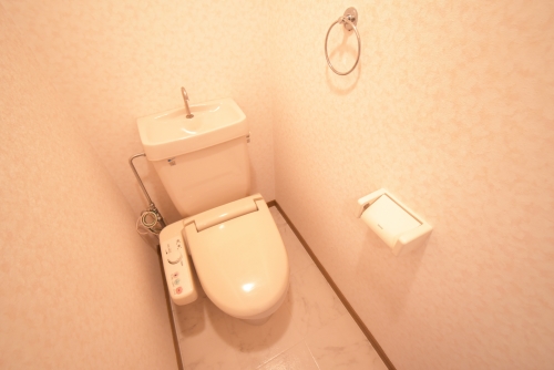 フルール９８ / 303号室 トイレ