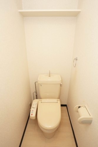 ディナスティⅧ / 306号室 トイレ