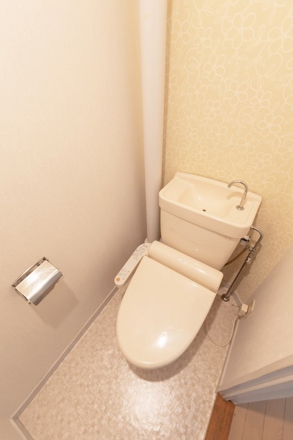 コーポユキ / 201号室 トイレ
