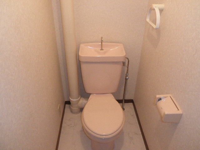 コーポユキⅡ / 301号室 トイレ