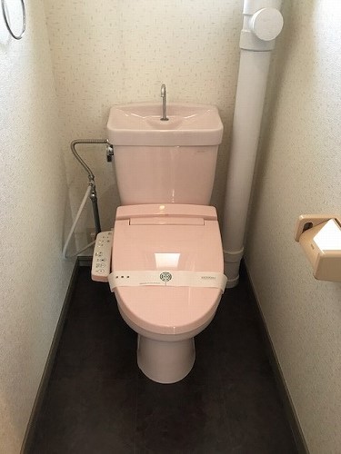 ドミール水城 / 305号室 トイレ