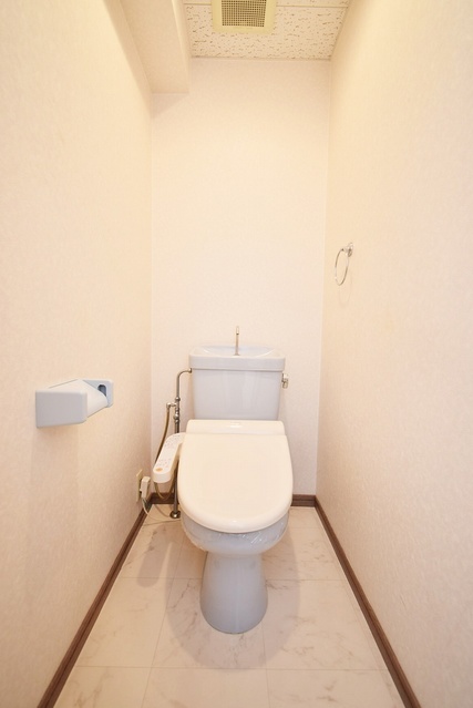 シャトレ針摺Ⅱ / 301号室 トイレ