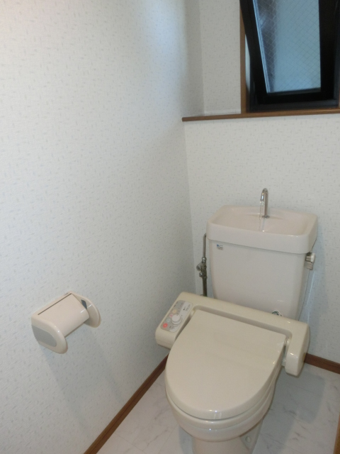 アネックスけやき通り / 401号室 トイレ