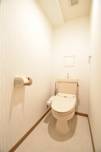 シャトレ天拝 / 105号室 トイレ