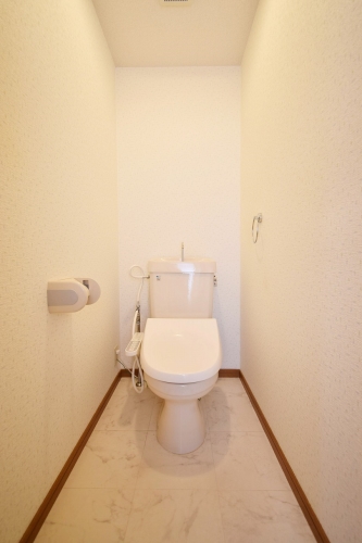 グランドゥール祥雲 / 201号室 トイレ