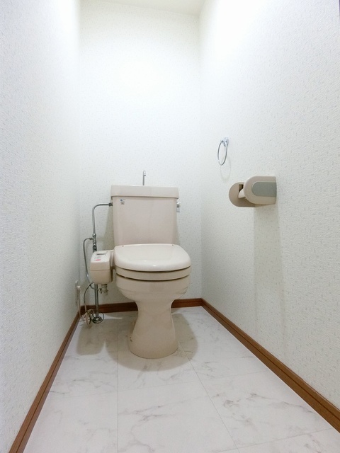 グランドゥール祥雲 / 403号室 トイレ