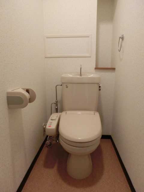 ディナスティⅧ / 205号室 トイレ