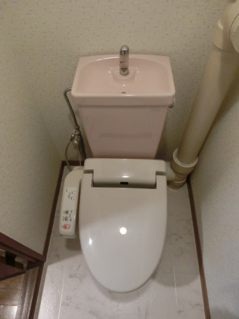 RESIAS CHIKUSHINO BLDG. / 101号室 トイレ