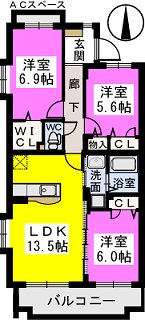 エスターテ伊都 / 501号室 間取り