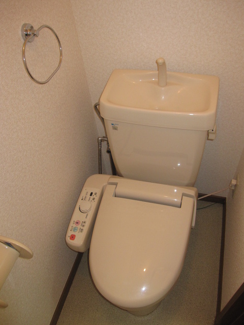ライフコート篠原 / 201号室 トイレ