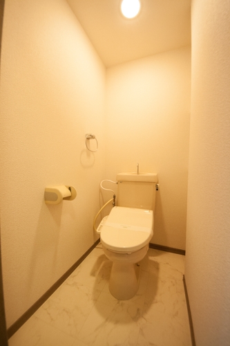 リバーパーク梅林 / 301号室 トイレ