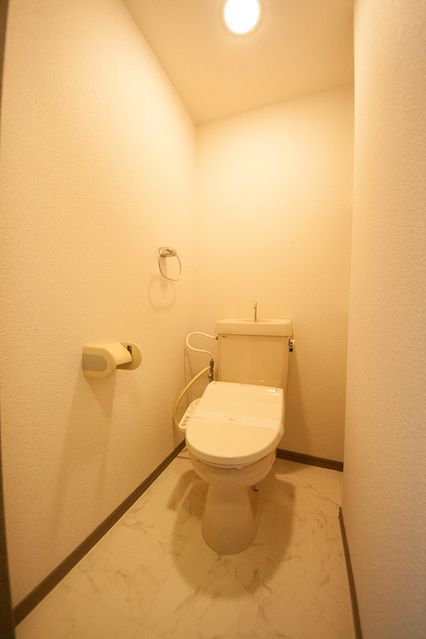 リバーパーク梅林 / 206号室 トイレ