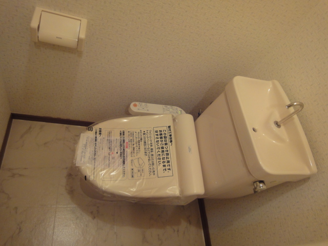 ティアラドミール / 102号室 トイレ