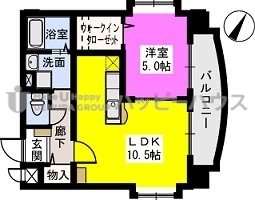 セラヴィ / 803号室 間取り