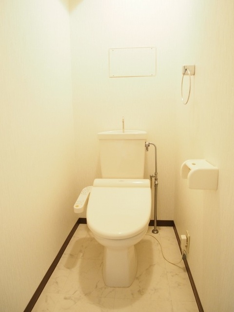 レスピーザ５３ / 106号室 トイレ