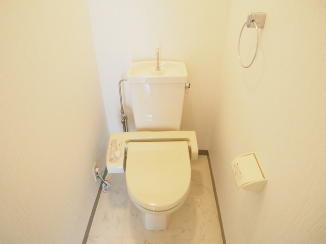レスピーザ５３ / 210号室 トイレ