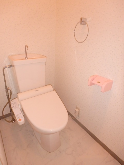 レスピーザ５３ / 401号室 トイレ