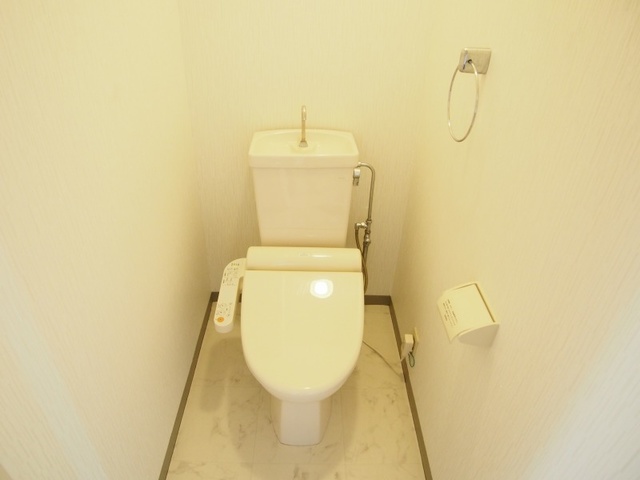 レスピーザ５３ / 408号室 トイレ