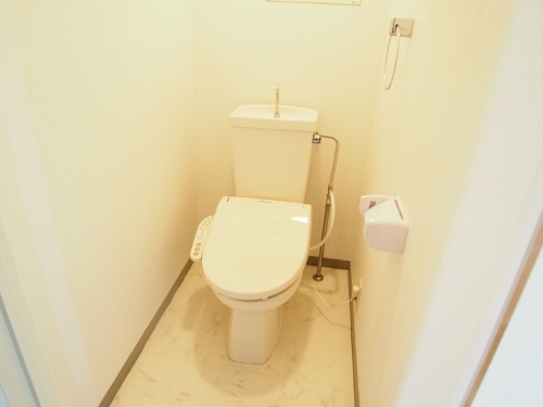 レスピーザ５３ / 508号室 トイレ