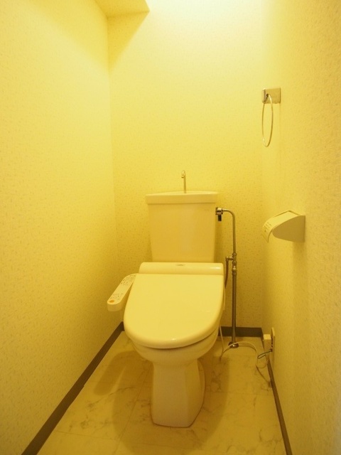 レスピーザ５３ / 608号室 トイレ