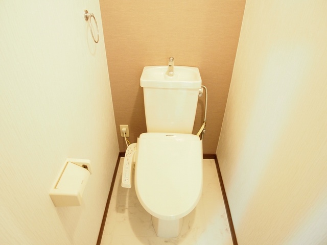 レスピーザⅡ / 407号室 トイレ