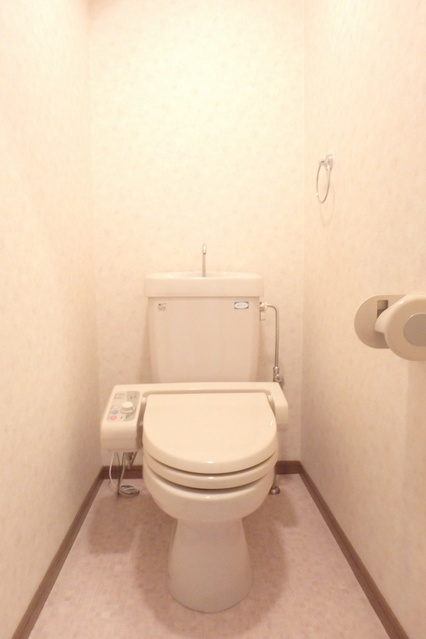 フレア・クレスト水城 / 605号室 トイレ