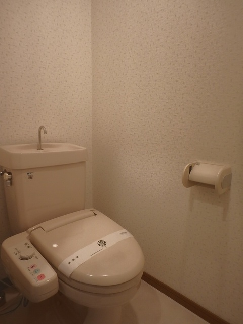 マンテンビュー / 203号室 トイレ