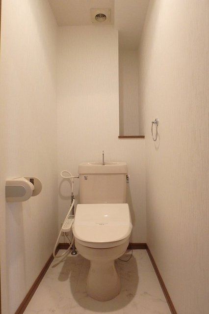 グランドアビタシオン村上 / 301号室 トイレ