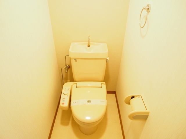 グランピア若草 / 501号室 トイレ