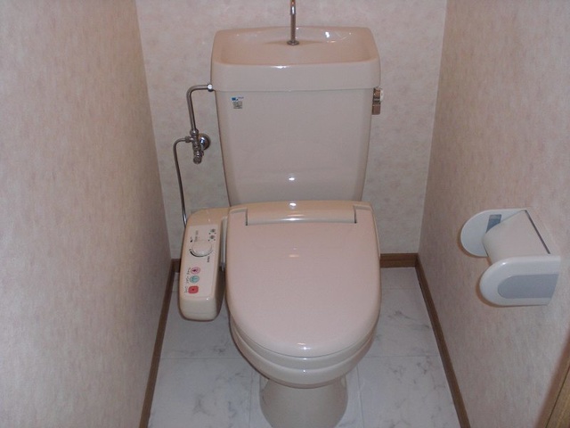 グランピア若草 / 503号室 トイレ
