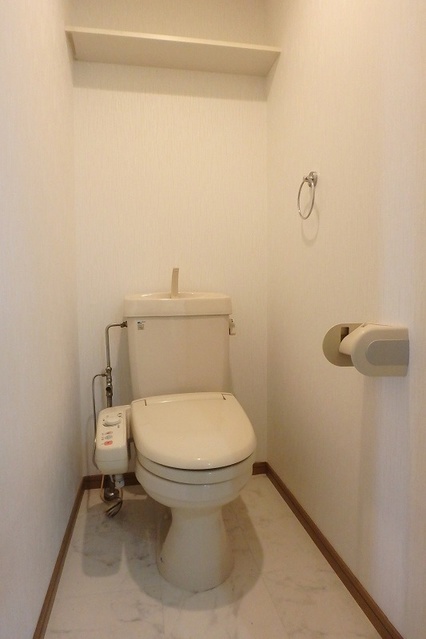 シーラ・プラッツ / 401号室 トイレ