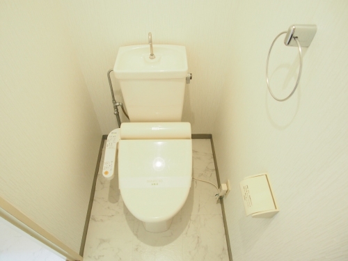 レスピーザ５３ / 201号室 トイレ
