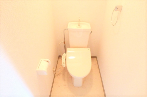 レスピーザ５３ / 410号室 トイレ