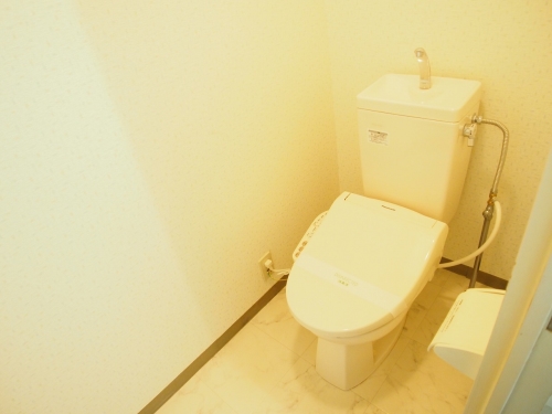 レスピーザ５３ / 502号室 トイレ
