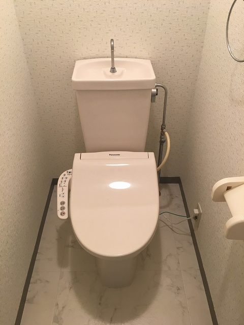 レスピーザ５３ / 706号室 トイレ